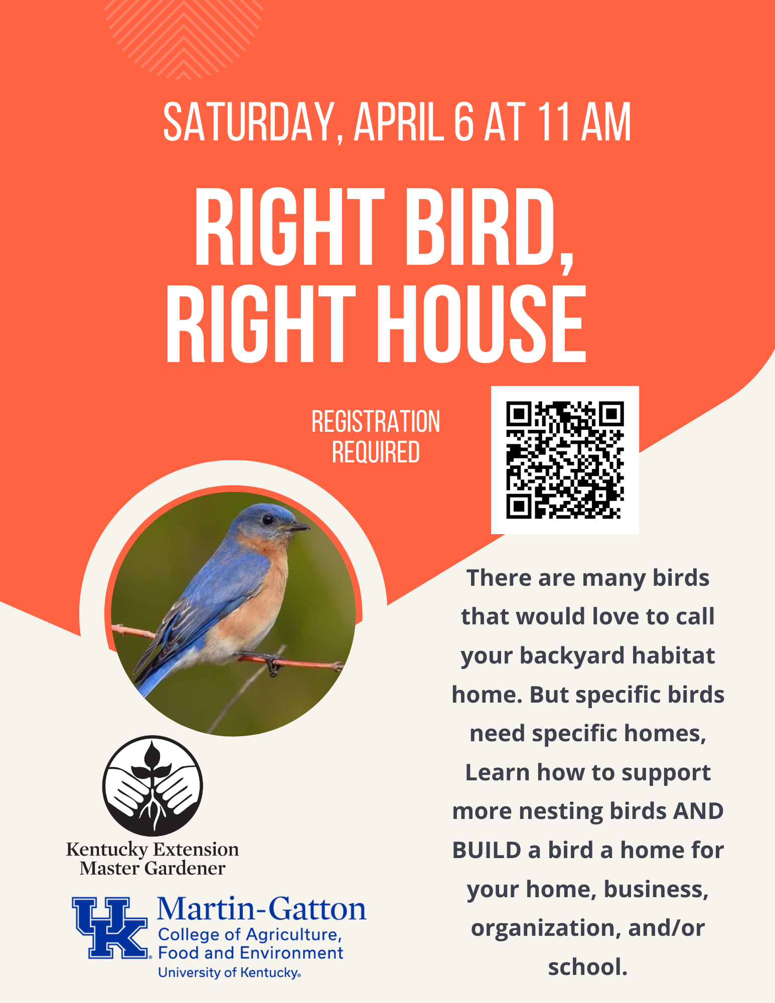 Right Bird Right House flyer