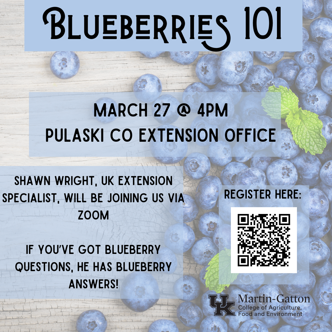 blueberries flyer