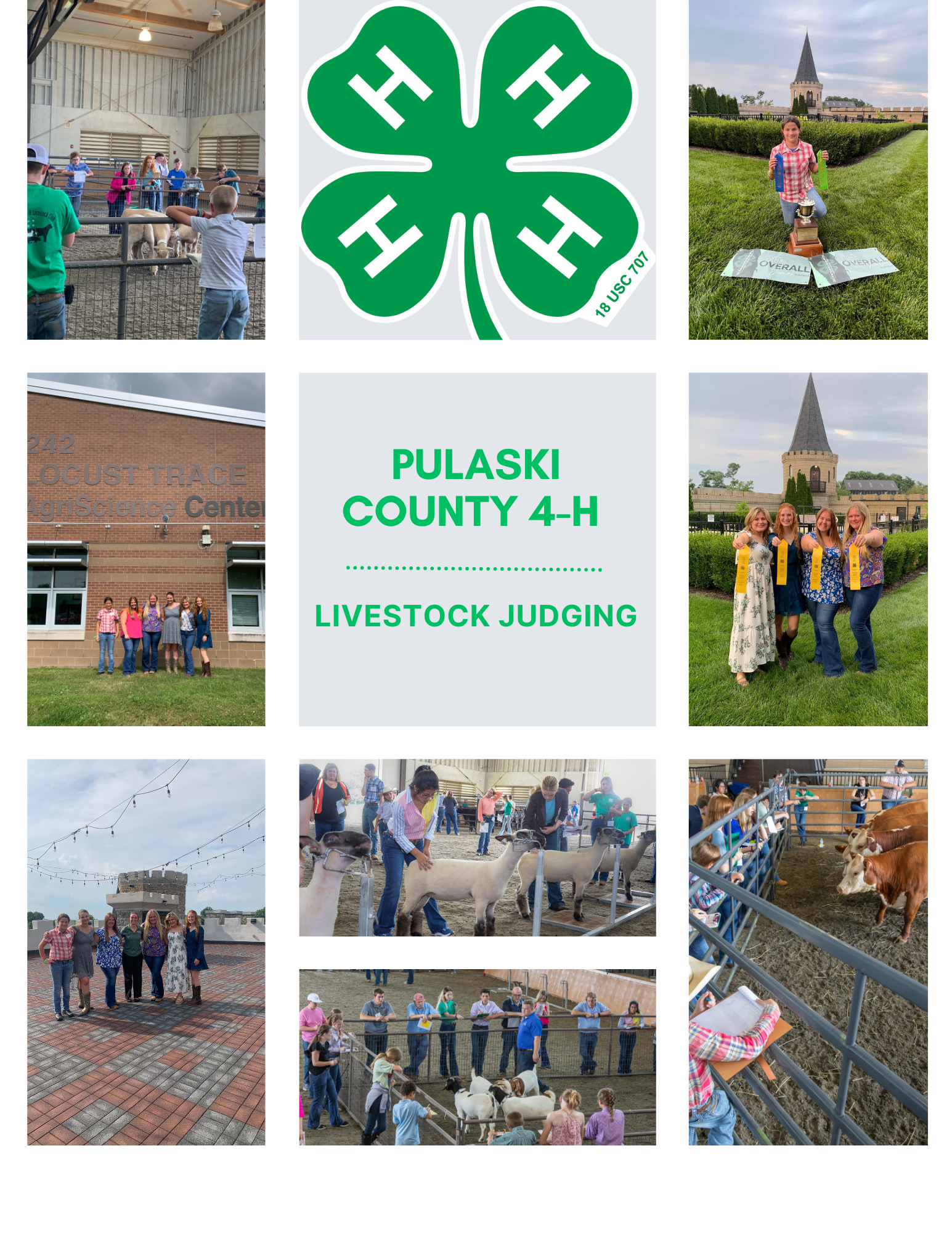 Collage of Livestock Judging Photos