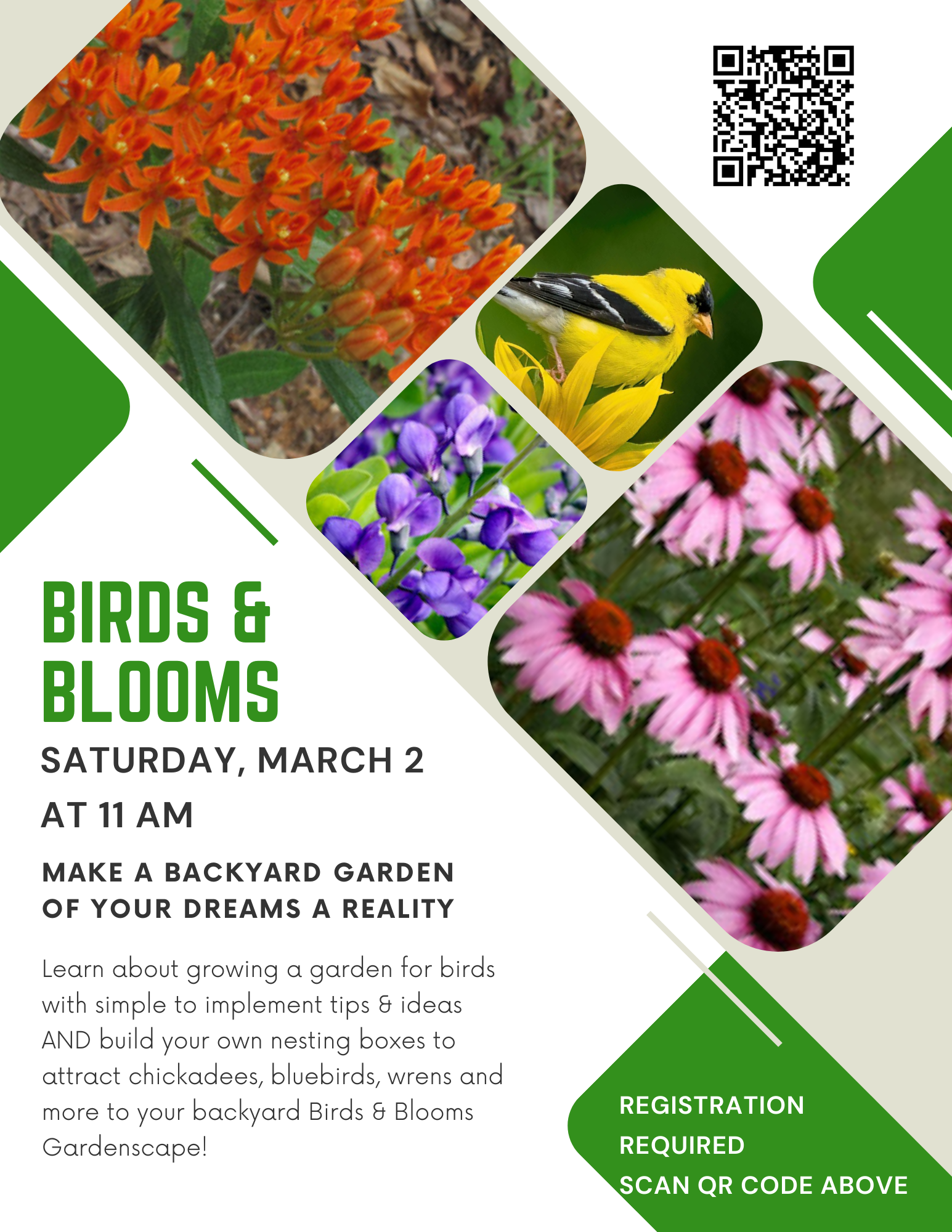 Birds & Blooms Program