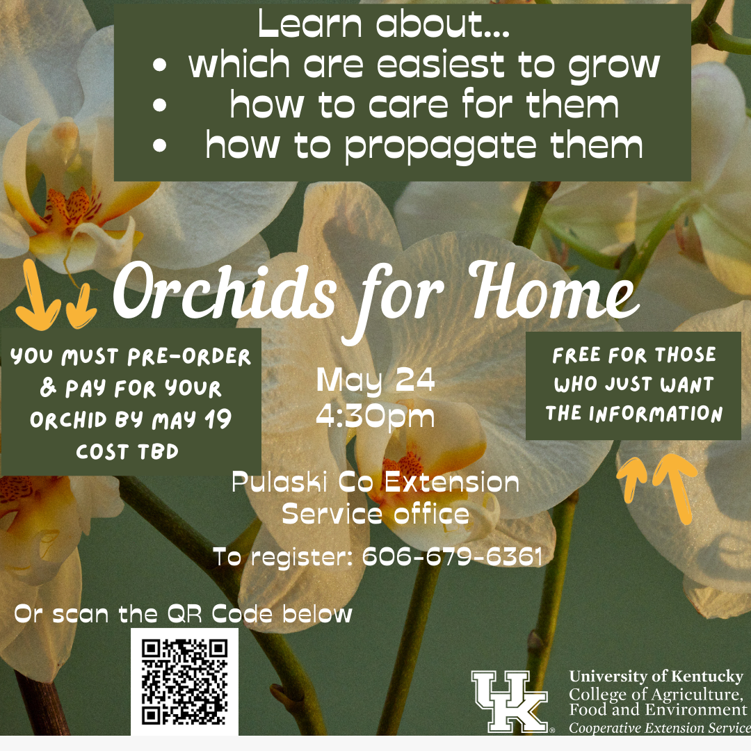 Orchids for Home flyer