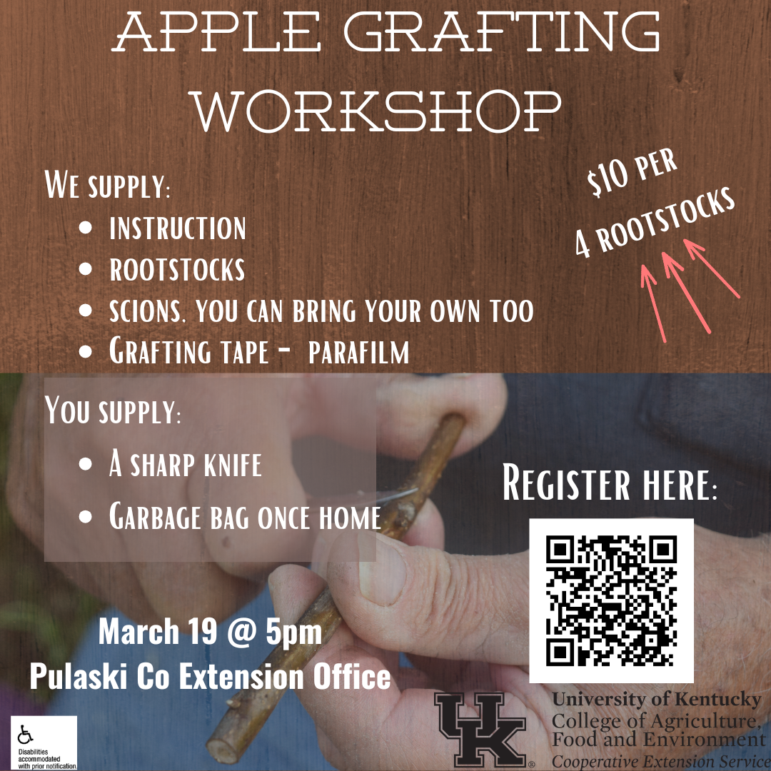 apple grafting flyer