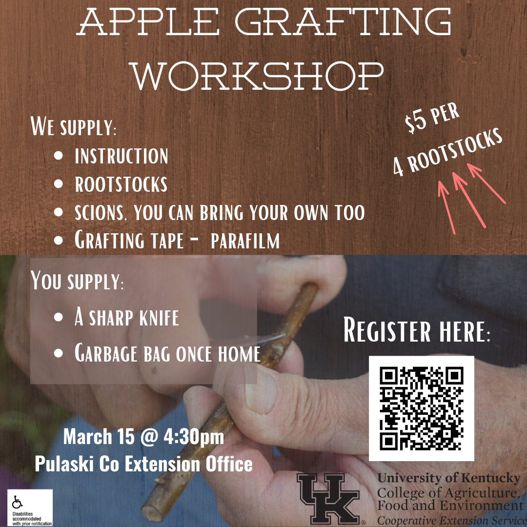 Apple grafting workshop flyer