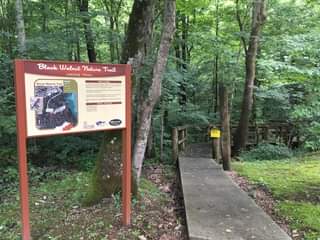 black walnut trail sign