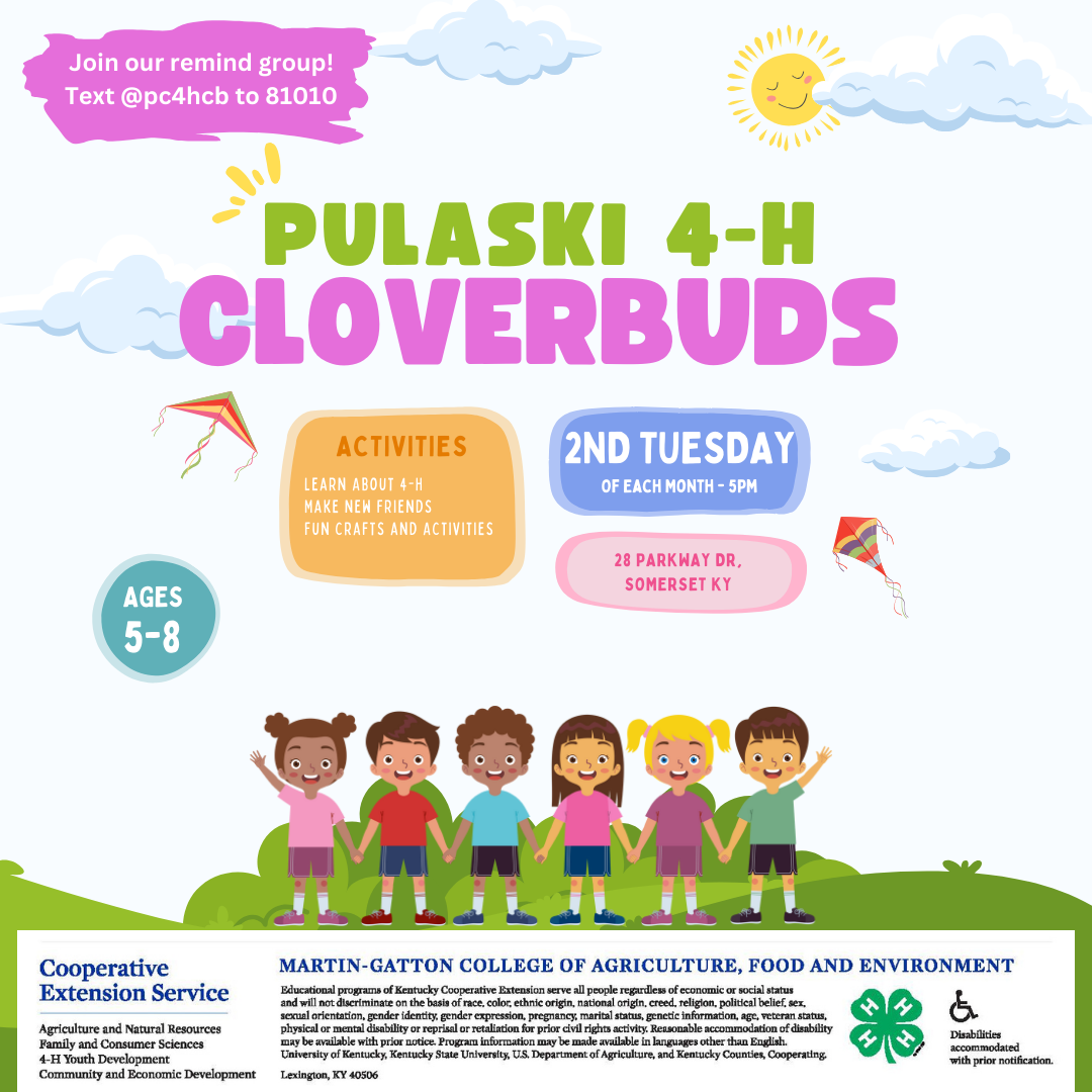 Cloverbud flyer with details about the club and children playing. 