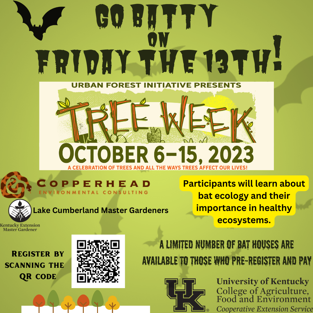 Go Batty Tree Week event