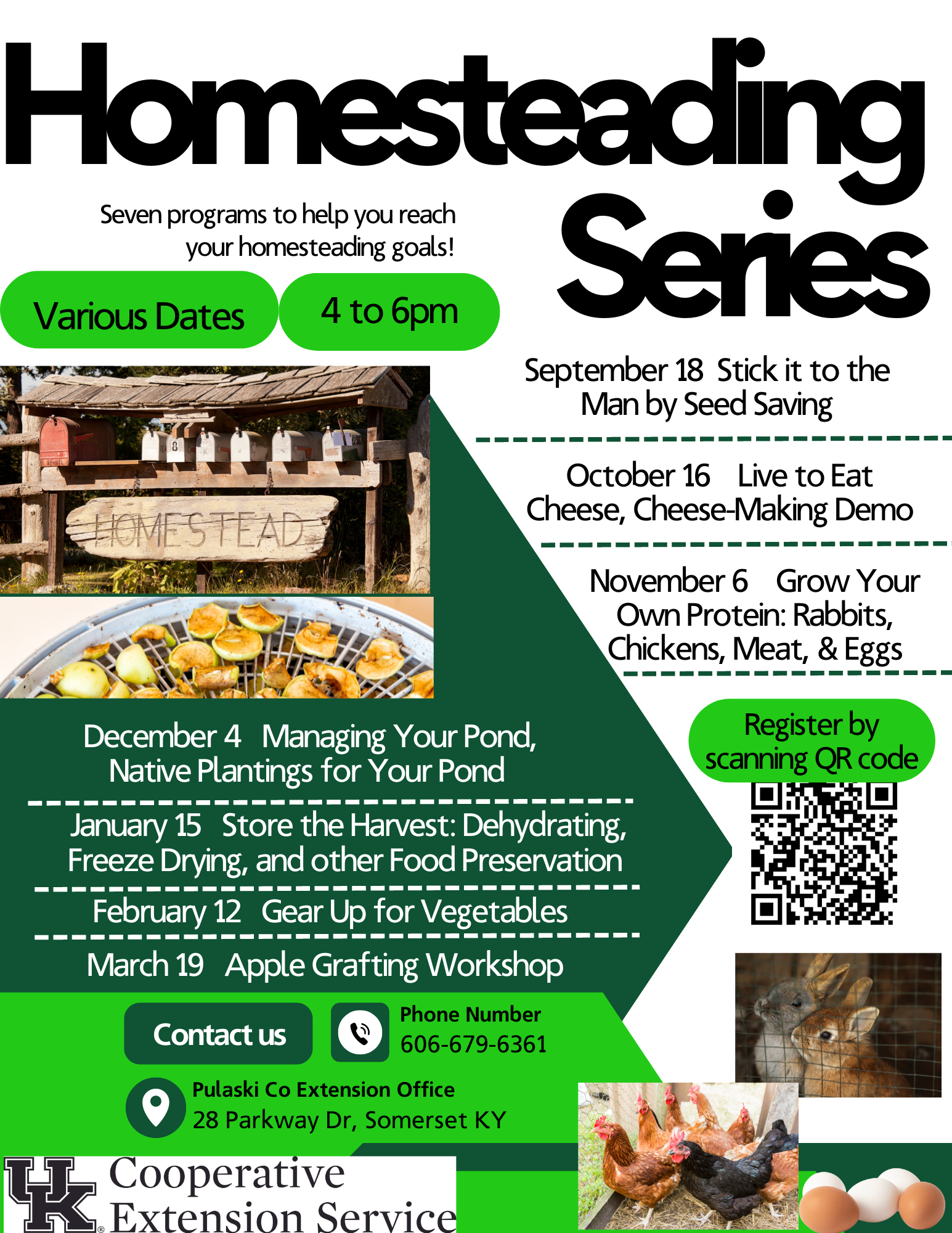 homesteading series flyer