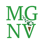 MGNV Youtube icon