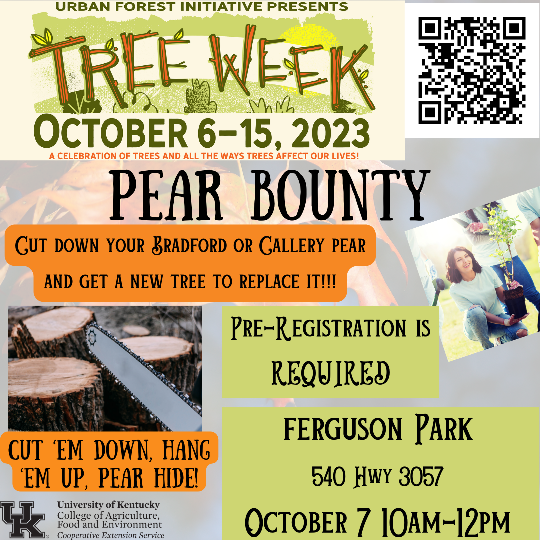 Pear Bounty Event