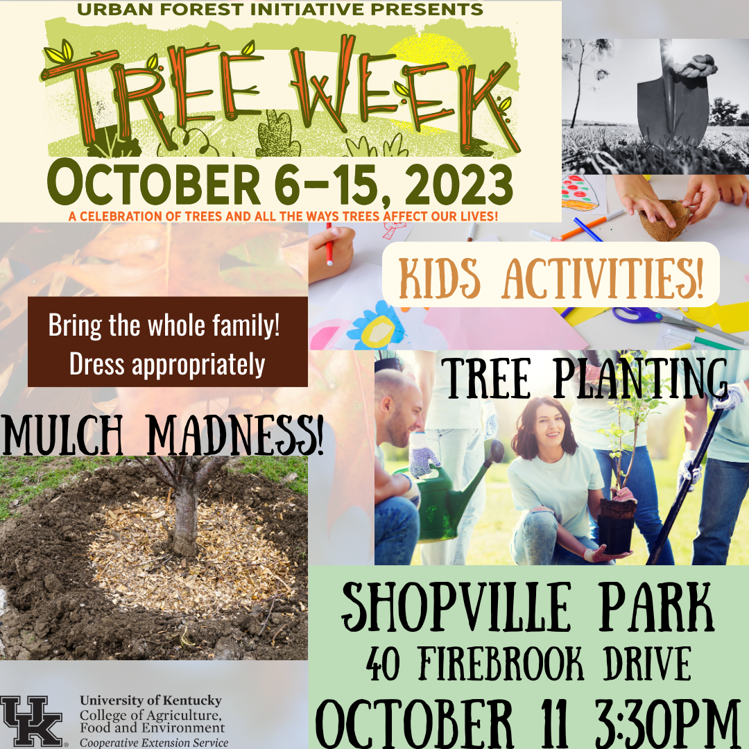 Shopville Park event