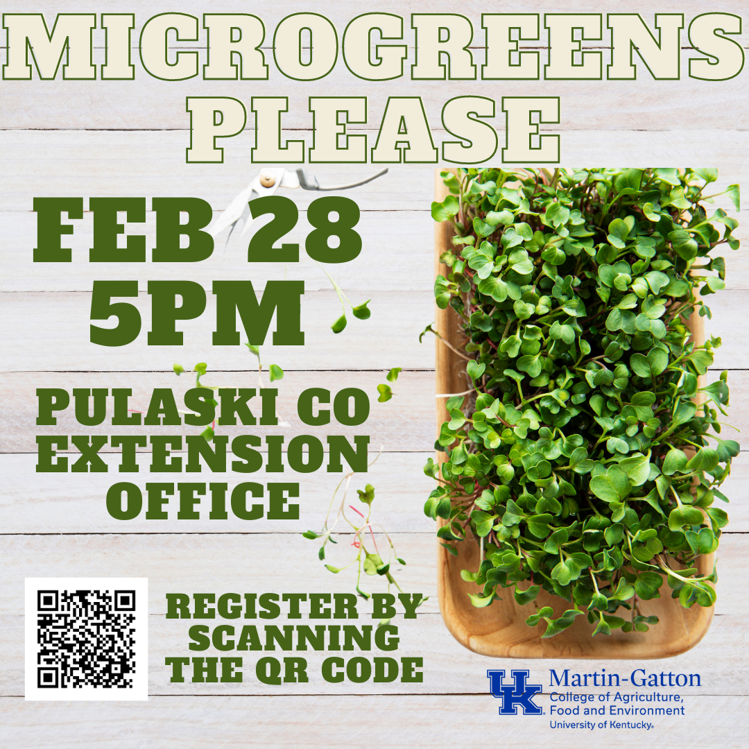 Microgreens flyer