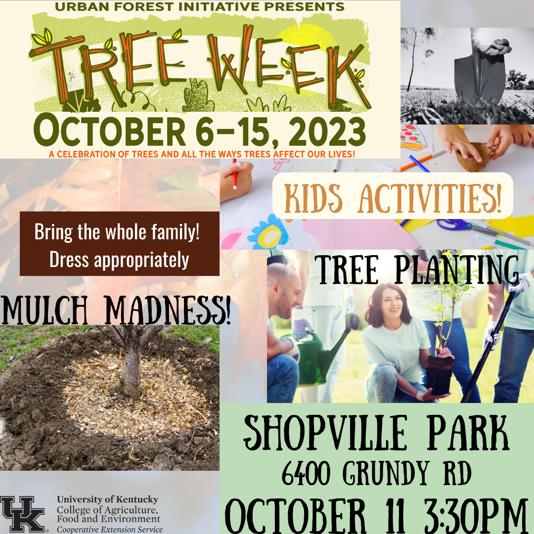 Shopville Park flyer