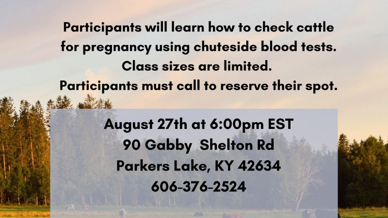 Lake Cumberland Area Cattle Pregnancy Determination School flyer for Aug. 27th and Oct 29th call 606-679-6361 for more information