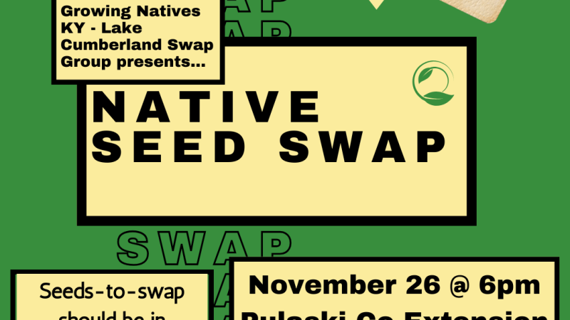 Native seed swap flyer