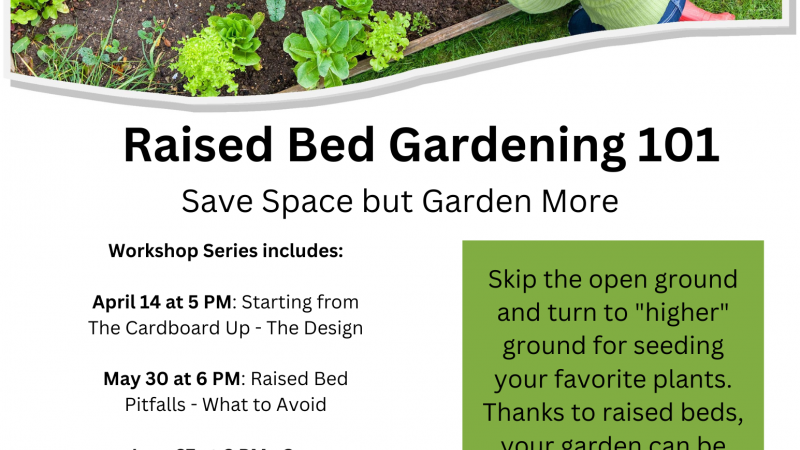 Raised bed gardening flyer