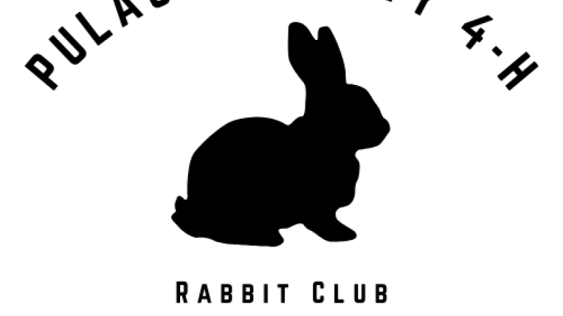 Rabbit Silhouette Club Flyer