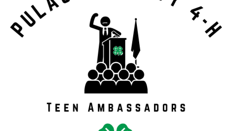 Teen Ambassadors Flyer