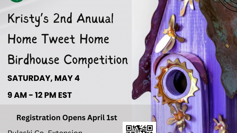 Birdhouse Competition flyer