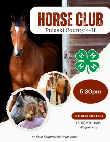 Horse Club Flyer