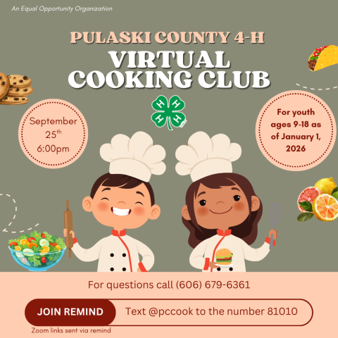 Virtual Cooking Club Flyer